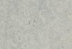 Horse roan Mist grey