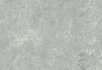 Horse roan Dove grey
