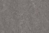 Horse roan Slate grey