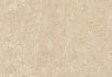 Horse roan Sand