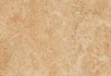 Horse roan Shell
