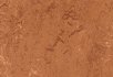 Horse roan Rust