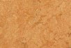 Horse roan Sahara