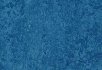 Horse roan Blue