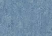 Horse roan Fresco blue
