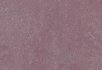 Horse roan Plum