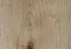 Warm authentic oak Golden harvest oak