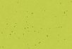 Pigeon Lime