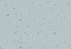 Pigeon Frost