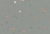 Pigeon Vivid pigeon