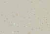 Pigeon Vivid stone