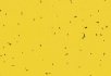 Pigeon Yellow