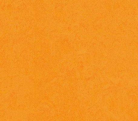 Forbo Marbled Fresco  Marigold ID:156, 1