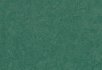 Edelweiss Hunter green
