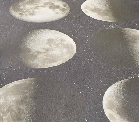 Surestep с цифровой печатью Moon ID:1679, 1