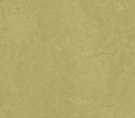 Forbo Marbled Fresco  Avocado ID:171, 1
