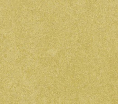 Forbo Marbled Fresco  Mustard ID:173, 1