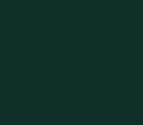 Furniture linoleum Conifer ID:1855, 1