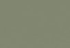 Pewter Olive