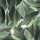 Flotex Vision Floral Tulip Field Green