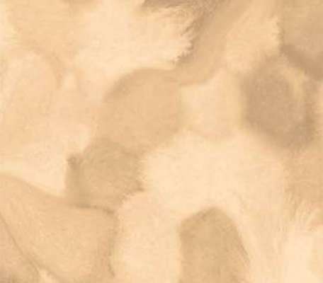 Flotex Vision Floral Welcome to Jupiter Sepia ID:1975, 1