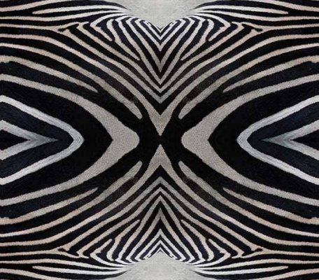 Flotex Vision Image Zebra ID:2063, 1