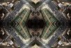 Illusion Vertigo