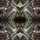 Flotex Vision Image Vertigo
