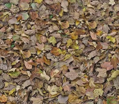 Flotex Vision Image Autumn leaves - green ID:2076, 1
