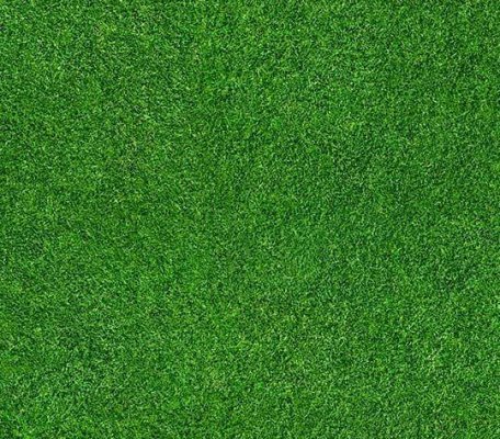 Flotex Vision Image Grass ID:2082, 1