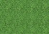 Illusion Shamrock