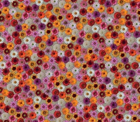 Flotex Vision Image Multifloral ID:2085, 1