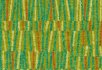 Cord Lagoon Vector Lime