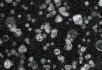 Weave Zinc Starwalk Black