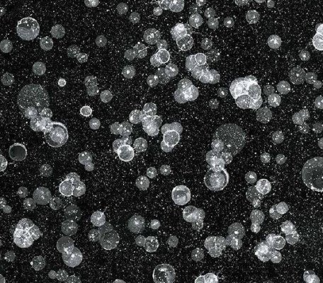 Flotex Vision Pattern Starwalk Black ID:2263, 1