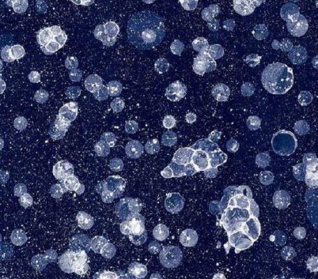 Flotex Vision Pattern Starwalk Blue ID:2266, 1
