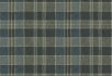 Weave Zinc Plaid Fern