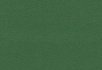 Indigo Evergreen