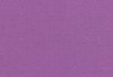 Indigo Lilac