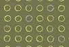 Curve Flint Spin Lichen