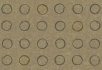 Curve Flint Spin Hessian