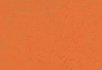 Orange glow Orange glow