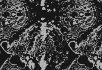 Onyx clay Atomic monochrome