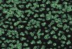 990106 Bacteria 990102 Bacteria