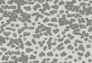 990106 Bacteria 990106 Bacteria