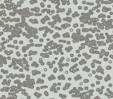 Flotex Sottsass 990106 Bacteria ID:2760, 1