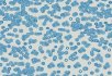 990106 Bacteria 990202 Bacteria