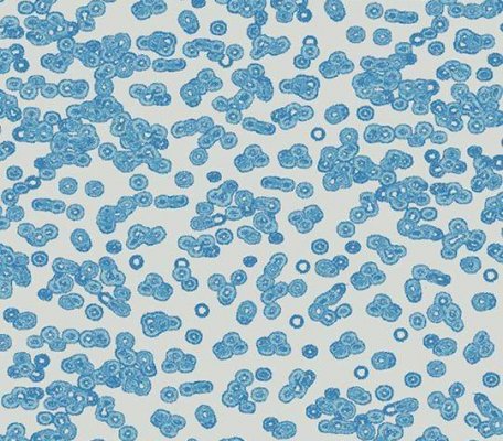 Flotex Sottsass 990202 Bacteria ID:2762, 1