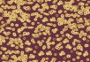 990106 Bacteria 990501 Bacteria