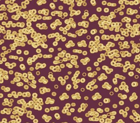 Flotex Sottsass 990501 Bacteria ID:2763, 1